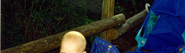 1990s:
WDW MARCH 1996:
WDW MARCH 1996 165